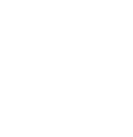 elastico