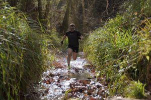 trail5 (1)